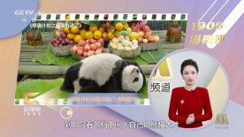 亚洲m男在线中文字幕